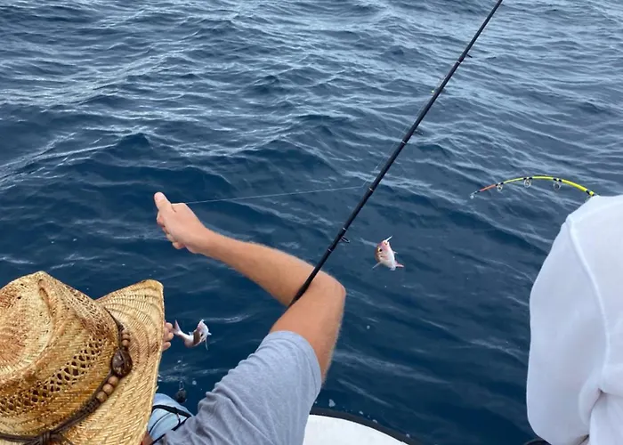 Panoramic Appartement Pula