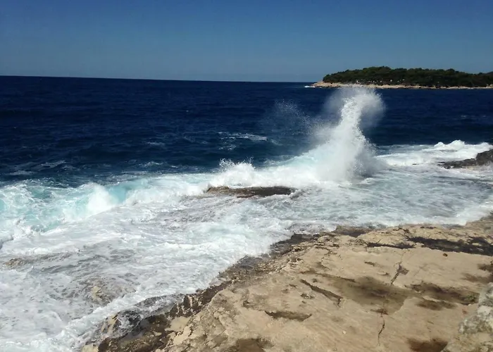 Panoramic Appartement