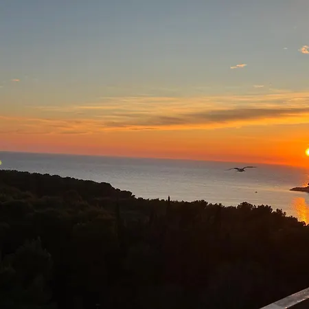Panoramic * Pula