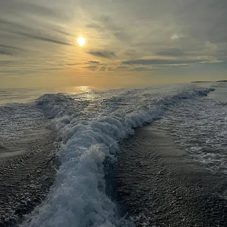 Panoramic * פולה