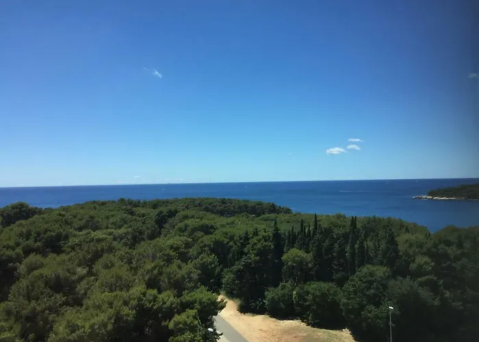 Panoramic *