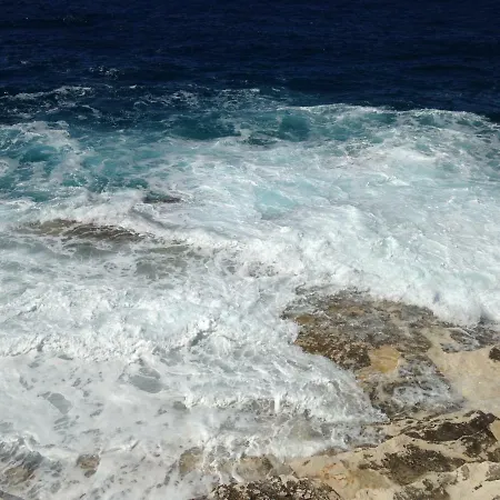 Panoramic