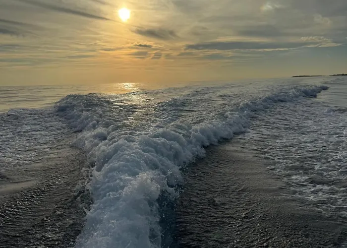 Panoramic * Πούλα